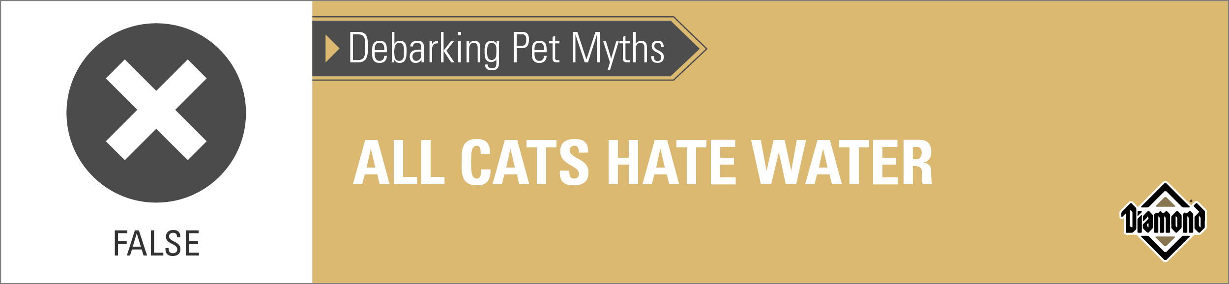 False: All Cats Hate Water Graphic | Diamond Pet Foods