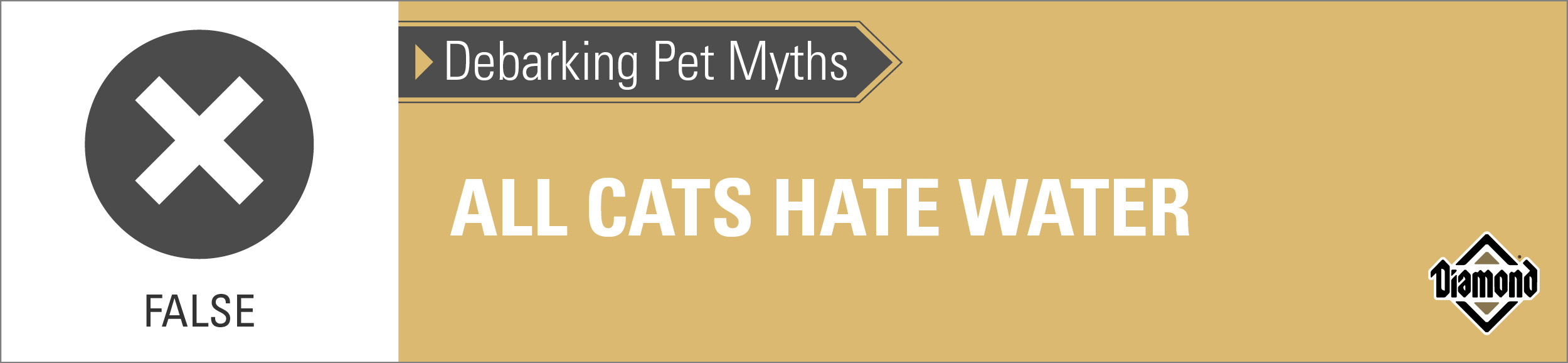 An interior graphic with text that reads, 'Debarking Pet Myths: All cats hate water  — False'.