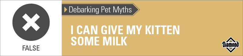 An interior graphic with text that reads, 'Debarking Pet Myths: I can give my kitten some milk — False'.