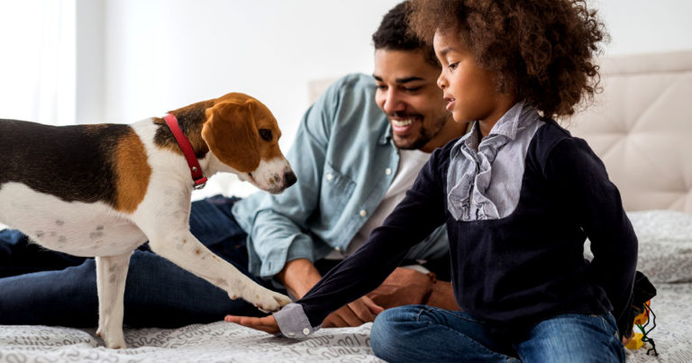 A dog standing on a bed next to its owner holding out its paw to a little girl.