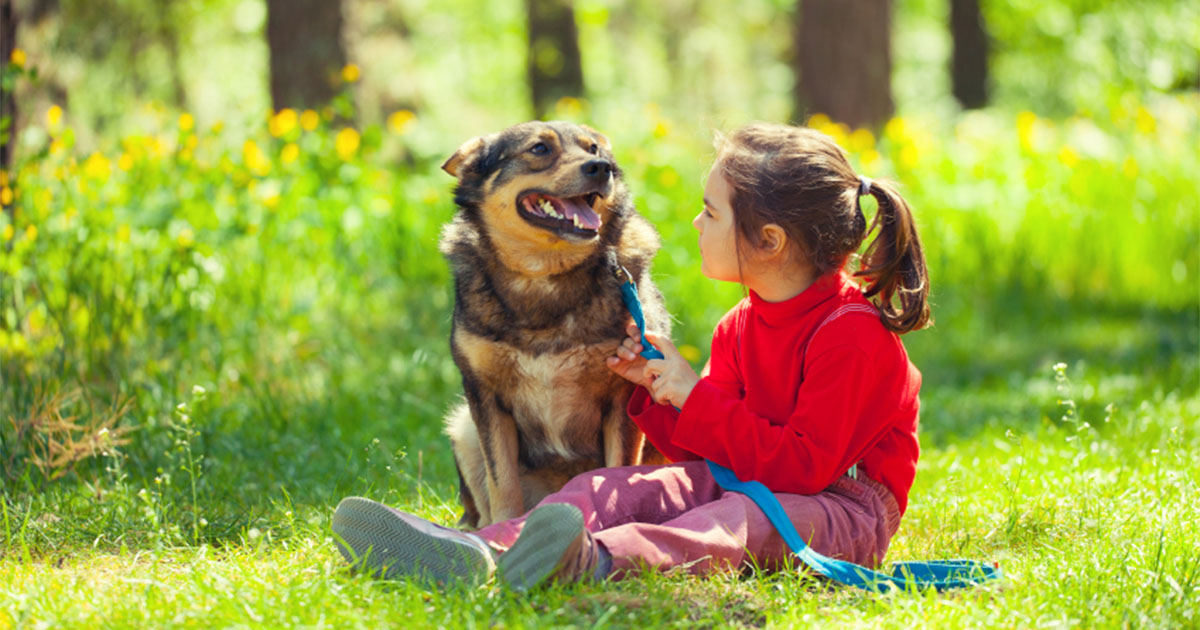 A young girl sitting in the grass with her dog on a leash.