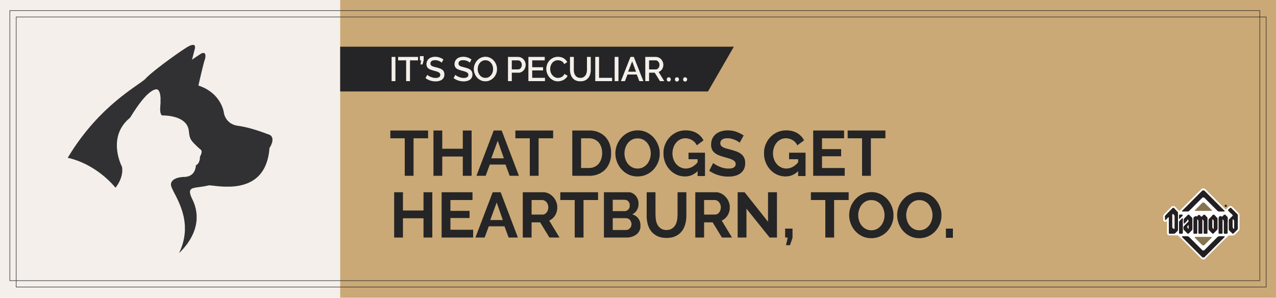 It’s So Peculiar That Dogs Get Heartburn Too Graphic | Diamond Pet Foods