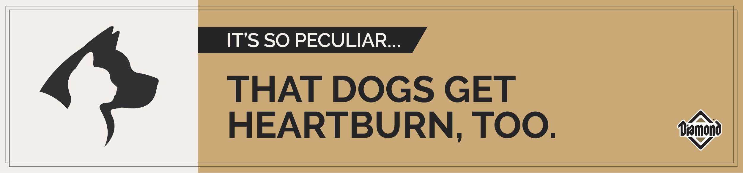An interior graphic with text that reads, 'It's so peculiar...that dogs get heartburn, too'.
