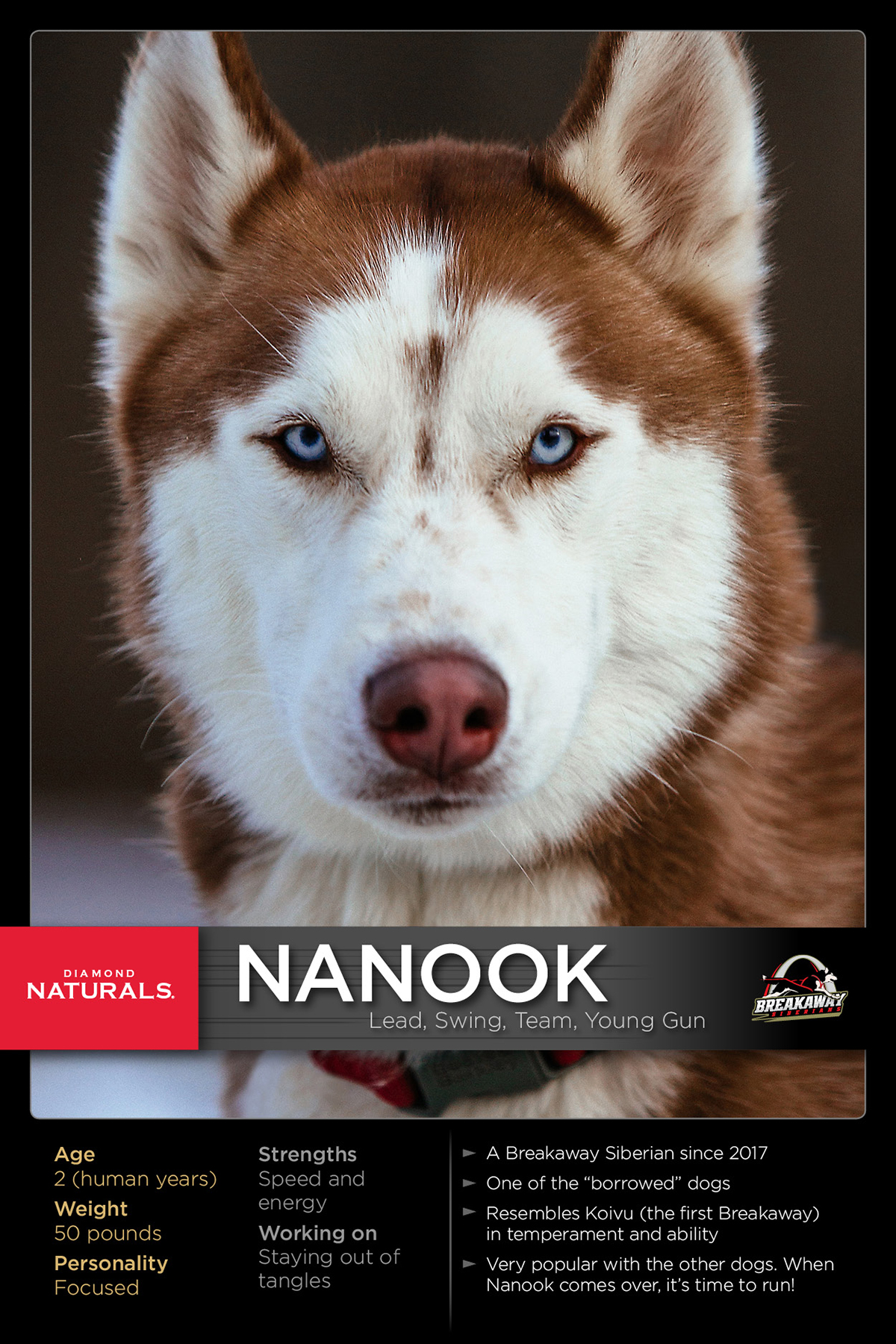 Nanook Portrait | Diamond Pet Foods