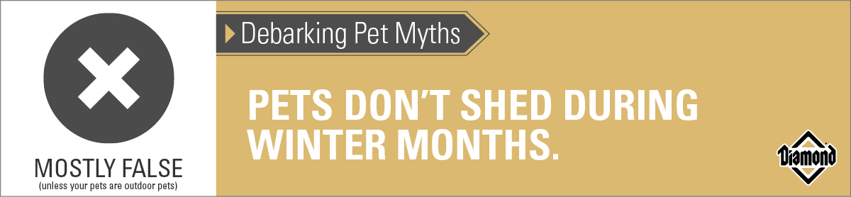 Mostly False: Pets Don't Shed During Winter Months | Diamond Pet Foods