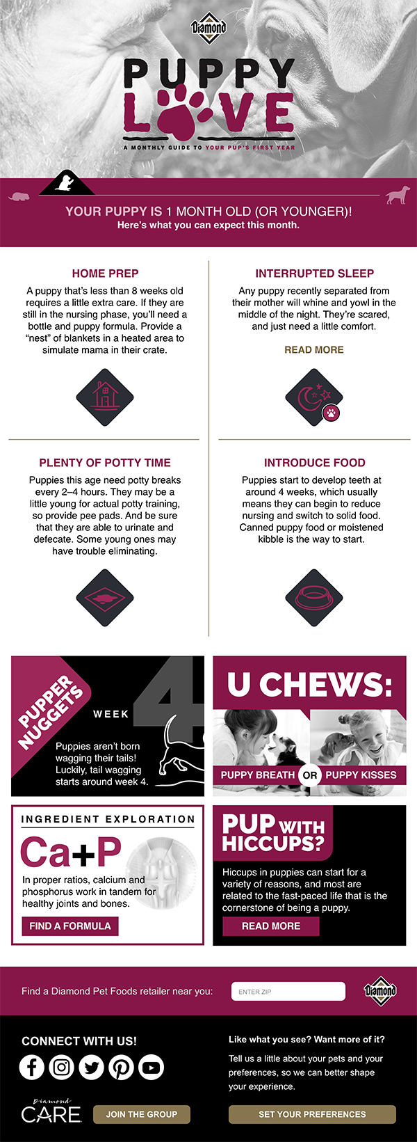 An interior graphic depicting a preview of the 'Puppy Love' newsletter.