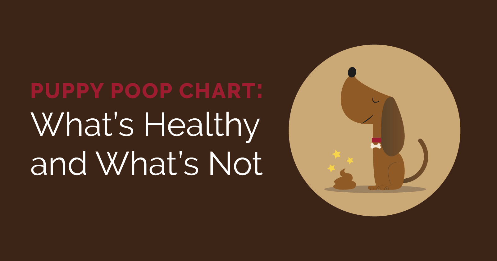 Puppy Poop Chart Featured Image | Diamond Pet Foods