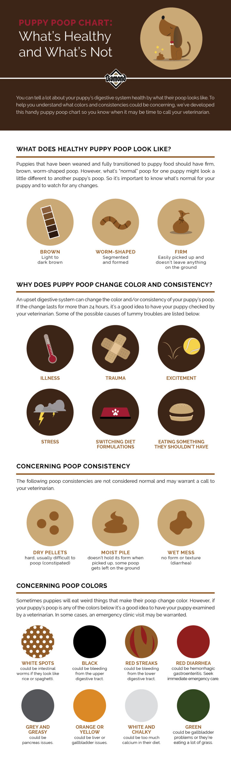 Puppy Poop Chart: What’s Normal and What’s Not Infographic | Diamond Pet Foods
