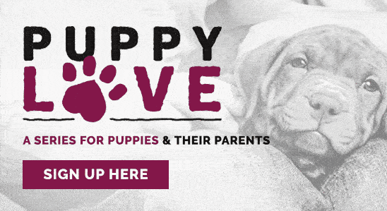 Puppy Love banner | Diamond Pet Foods