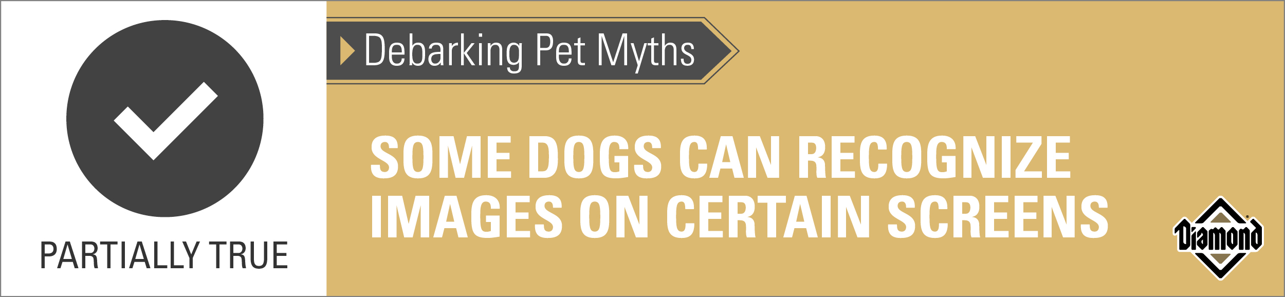 An interior graphic with text that reads, 'Partially True — Debarking Pet Myths: Some dogs can recognize images on certain screens'.