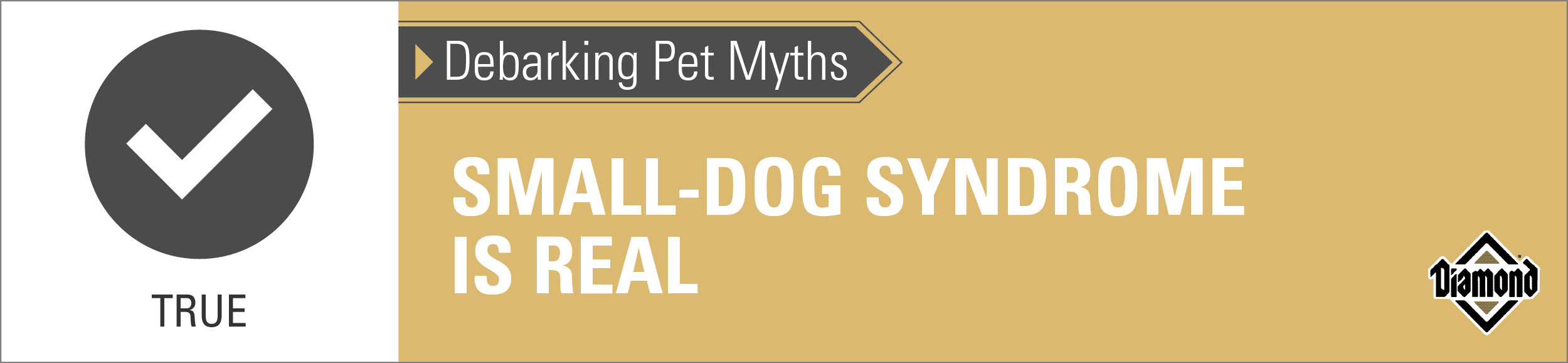 An interior graphic with text that reads, 'Debarking Pet Myths: Small-dog syndrome is real — True'.