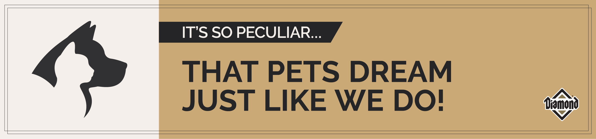 It's So Peculiar: That Pets Dream Just Like We Do Graphic | Diamond Pet Foods