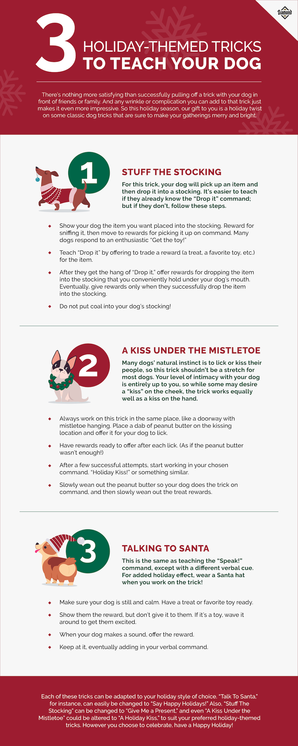 3 Holiday-Themed Tricks to Teach Your Dog Infographic | Diamond Pet Foods