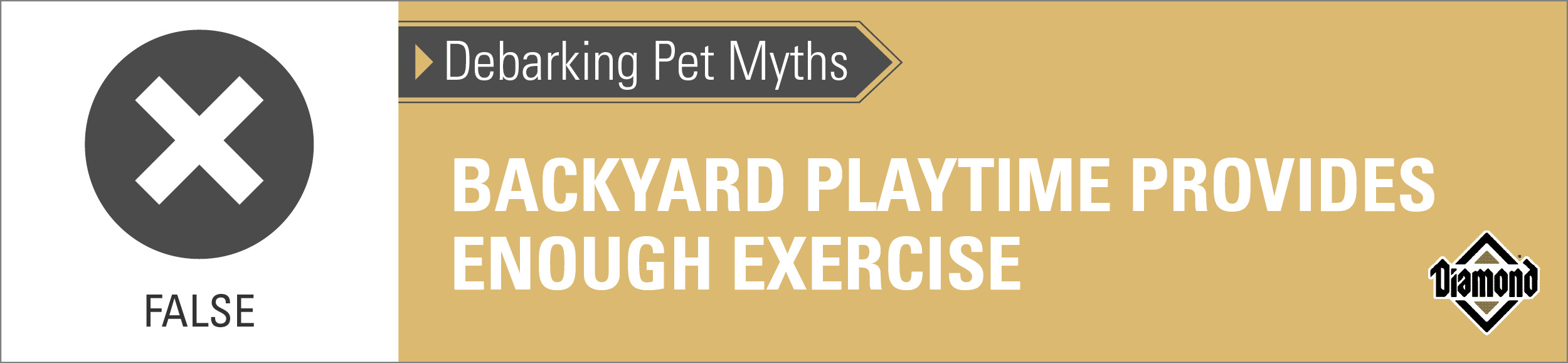 False: Backyard Playtime Provides Enough Exercise | Diamond Pet Foods