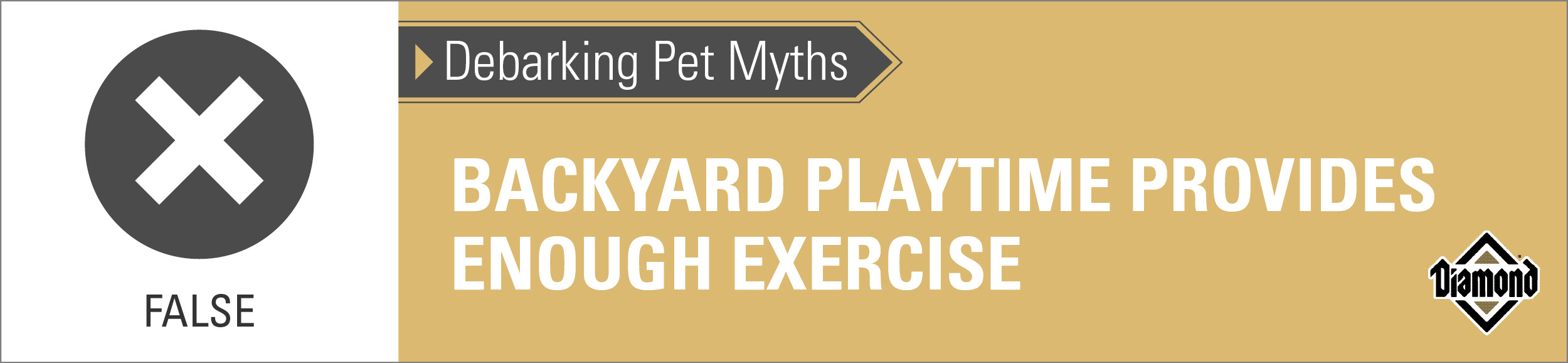 An interior graphic with text that reads, 'Debarking Pet Myths: Backyard playtime provides enough exercise — False'.