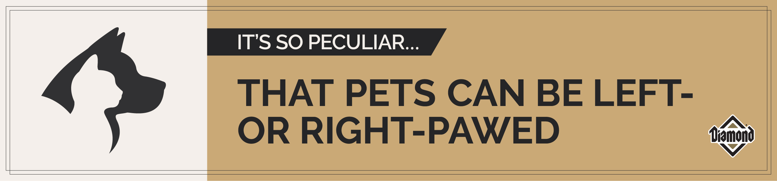 An interior graphic with text that reads, 'It's so peculiar...that pets can be left- or right-pawed'.