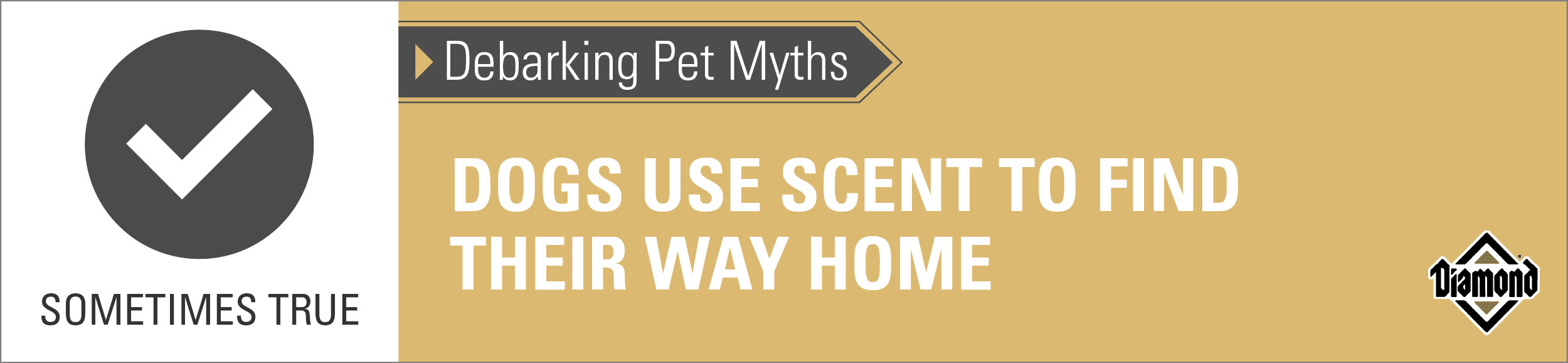 An interior graphic with text that reads, 'Debarking Pet Myths: Dogs use scent to find their way home — Sometimes True'.