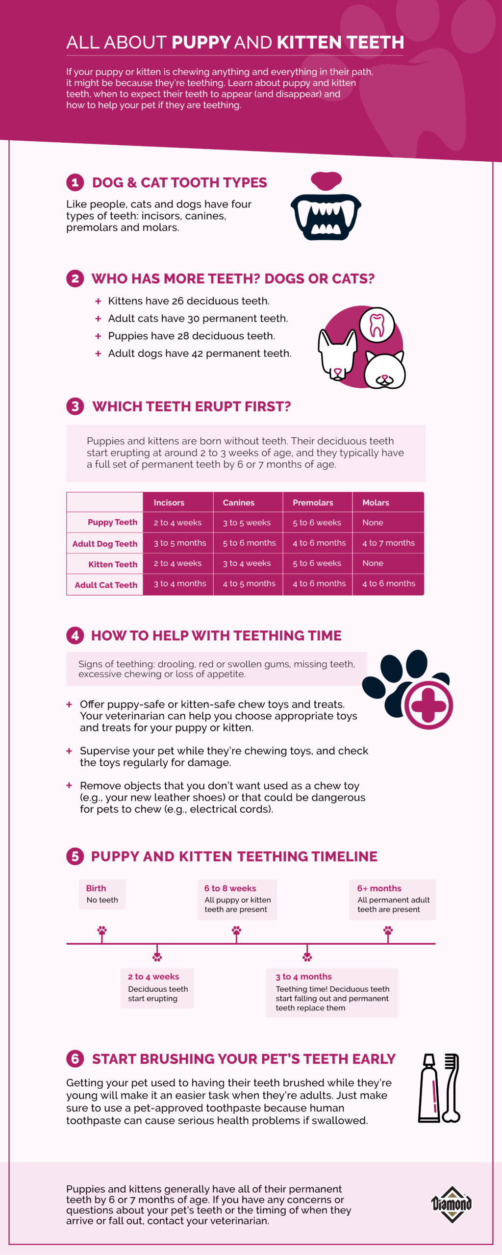 An interior infographic detailing six different facts about puppy and kitten teeth.
