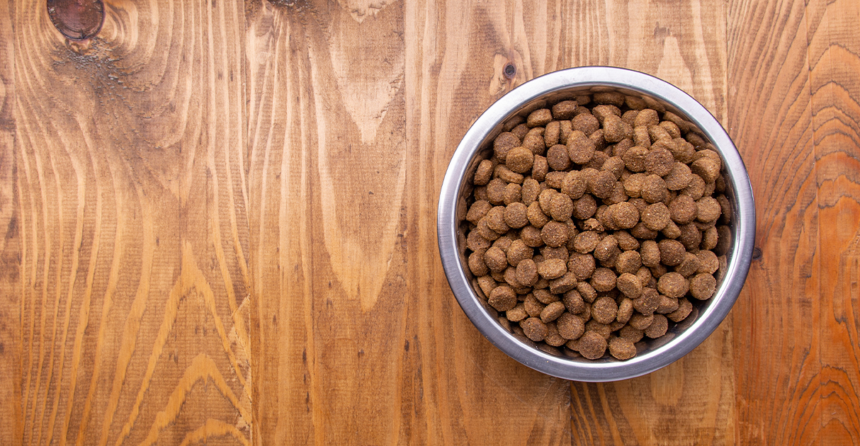 Bowl of Dry Dog Food Graphic | Diamond Pet Foods