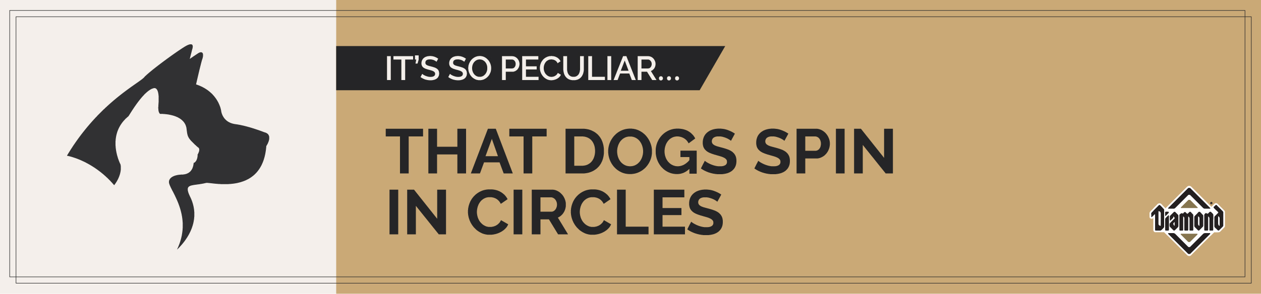 Text Graphic saying “It’s so peculiar that dogs spin in circles” | Diamond Pet Foods
