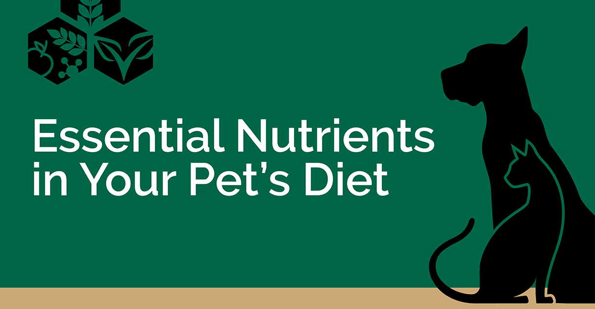 Essential Nutrients in Pet’s Diet Text Graphic | Diamond Pet Foods