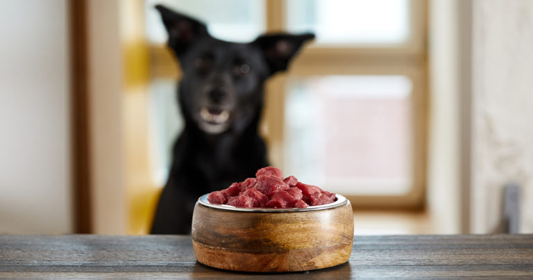 A dog staring at a wooden bowl full of raw meat on a table.