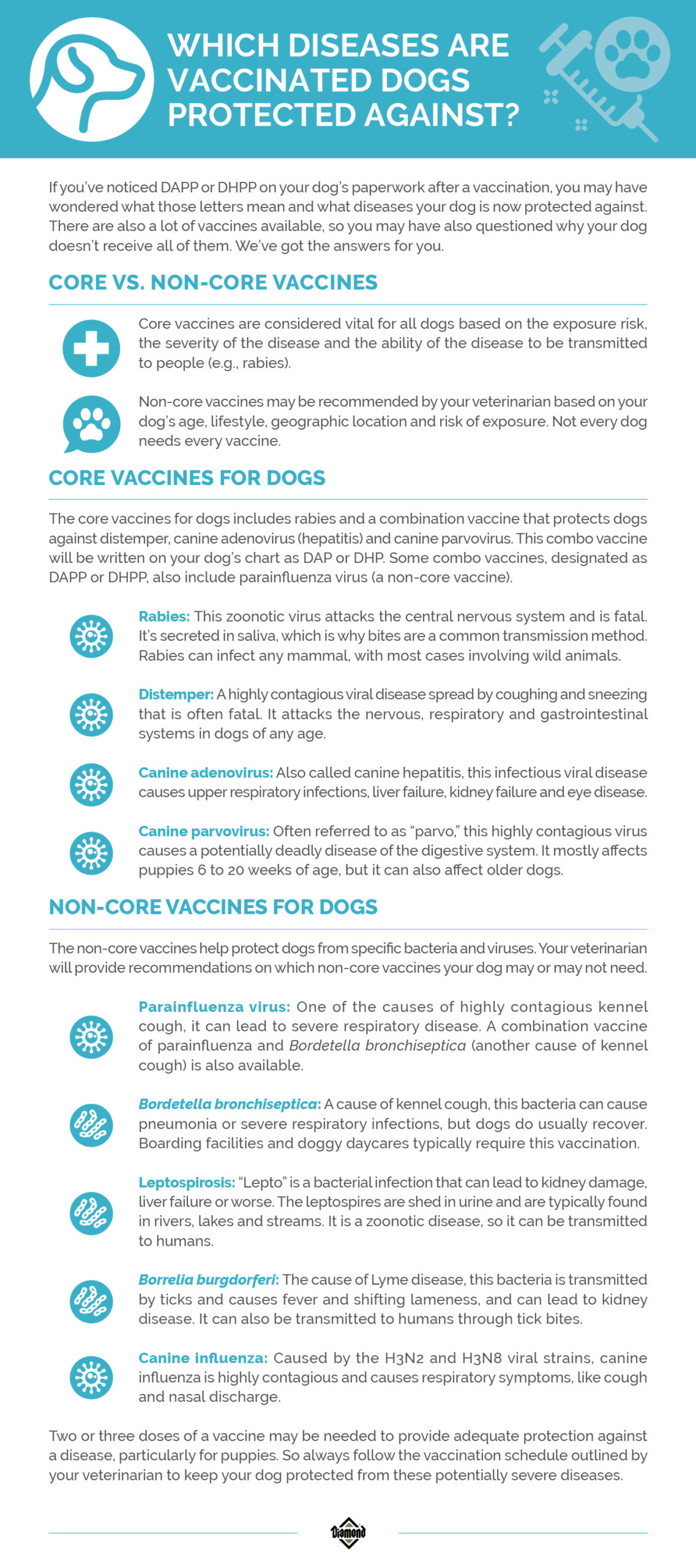 List of Vaccines for Dogs Info Graphic | Diamond Pet Foods
