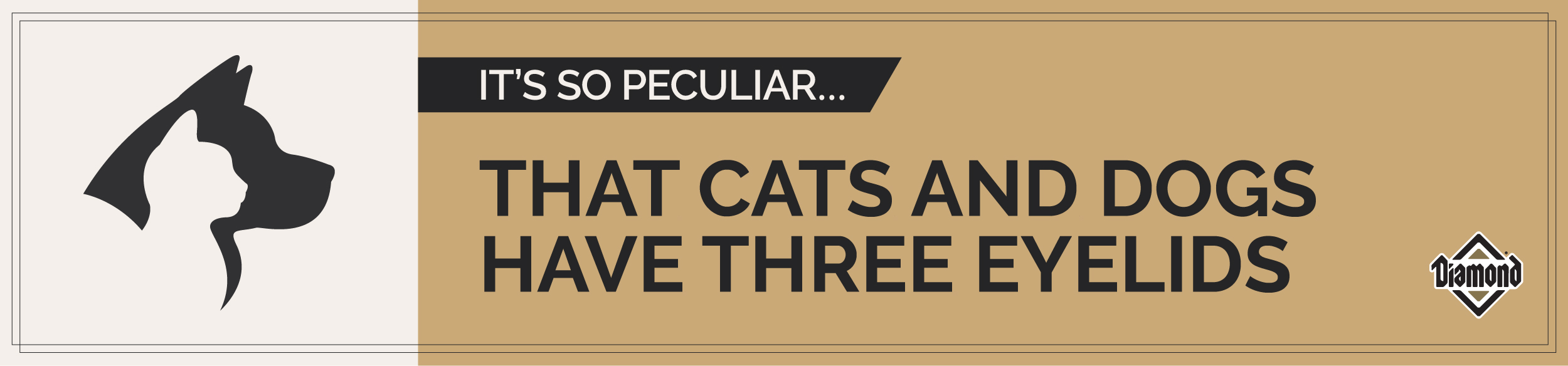 Peculiar Facts Pets Three Eyelids Info Graphic | Diamond Pet Foods