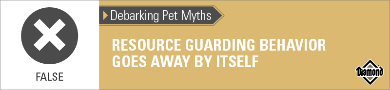An interior graphic with text that reads, 'Debarking Pet Myths: Resource guarding behavior goes away by itself — False'.