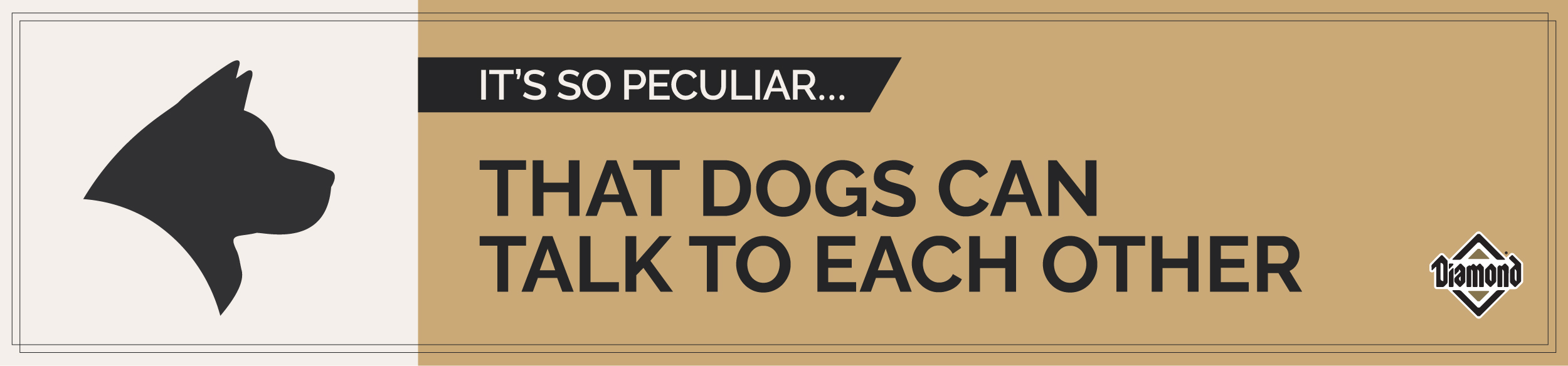 An interior graphic with text that reads, 'It's so peculiar...that dogs can talk to each other'.