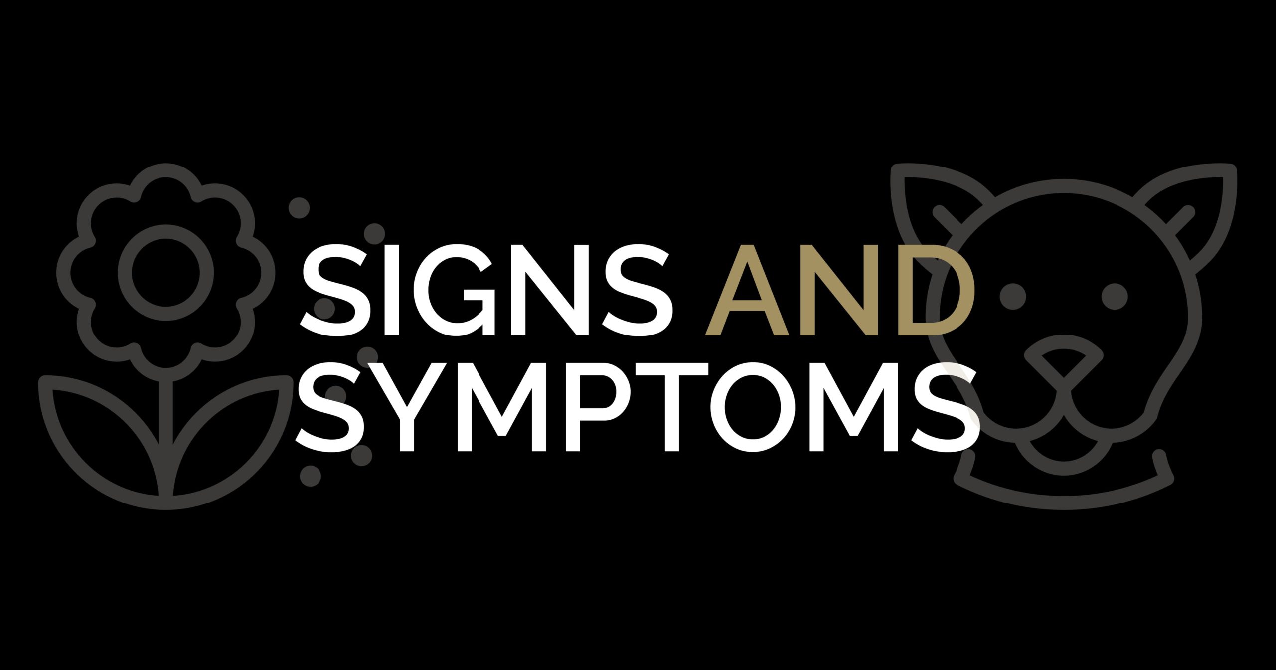 Signs and Symptoms Graphic | Diamond Pet Foods