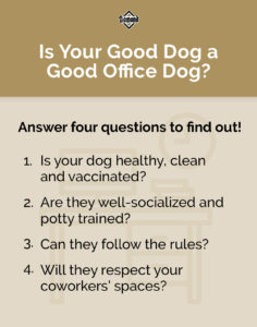 An interior graphic depicting four questions to help you decide if your dog is a good office dog.