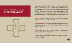 Pet First-Aid Kit Info Graphic | Diamond Pet Foods
