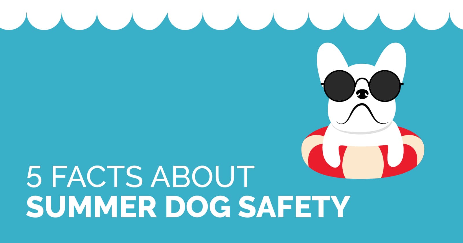 Cartoon Dog on Inner Tube Text Graphic | Diamond Pet Foods