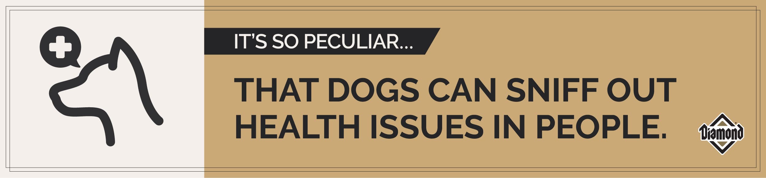 It’s So Peculiar: Dogs Can Sniff Out Health Issues in People Graphic | Diamond Pet Foods