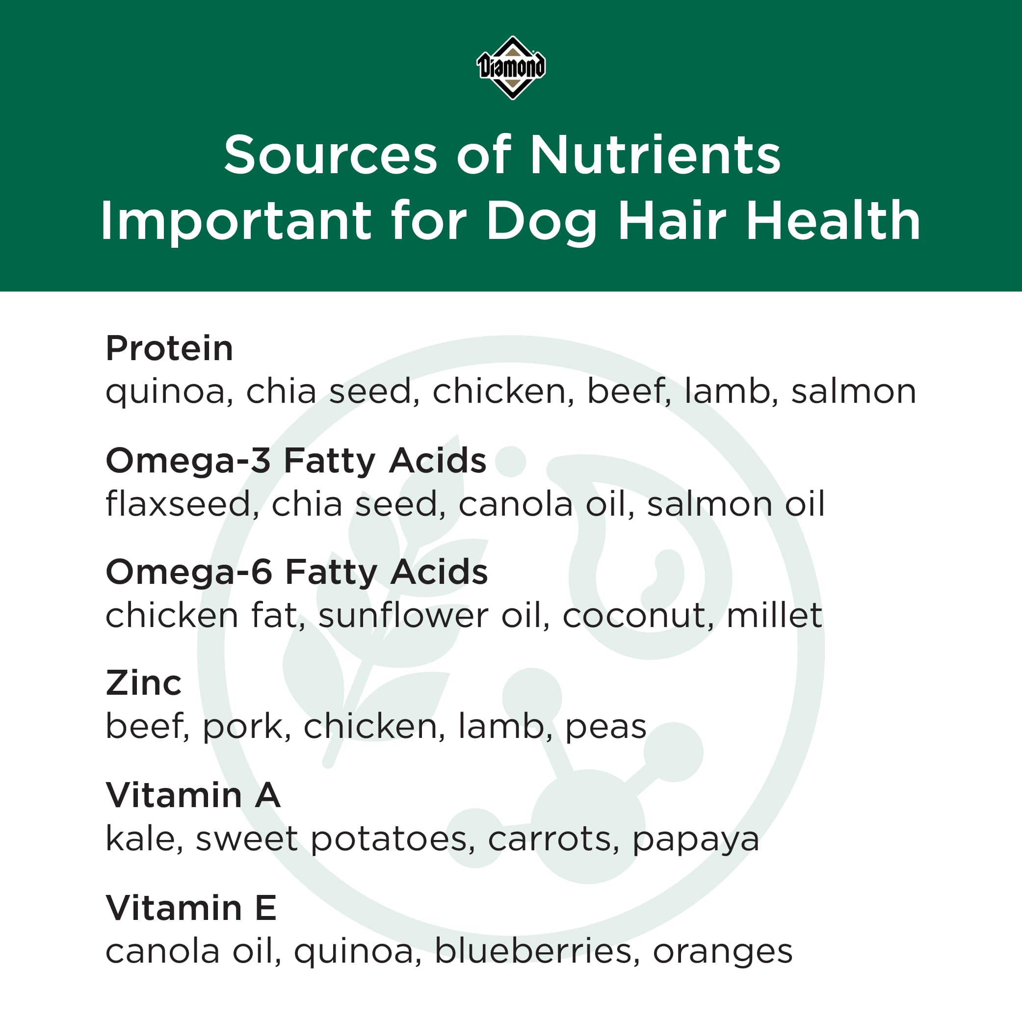 Sources of Nutrients Important for Dog Hair Infographic | Diamond Pet Foods
