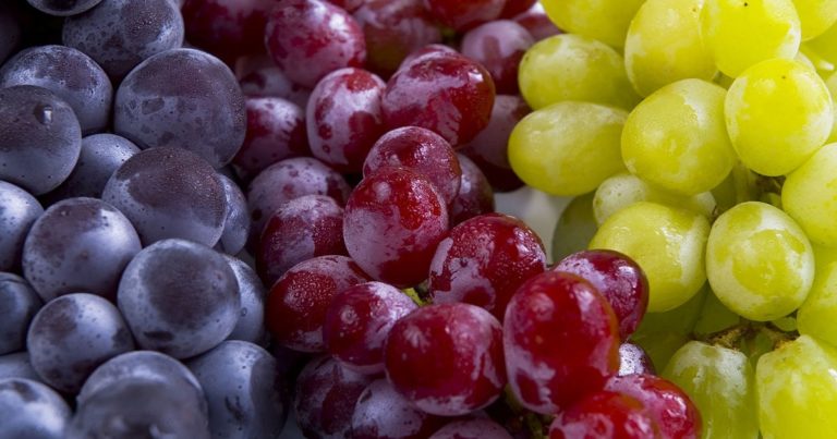 A close-up of purple grapes, red grapes and green grapes lying next to each other.