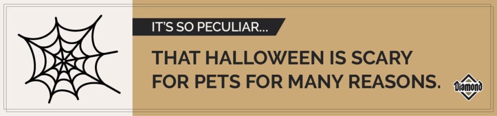 It’s So Peculiar: Halloween Is Scary for Pets Infographic | Diamond Pet Foods