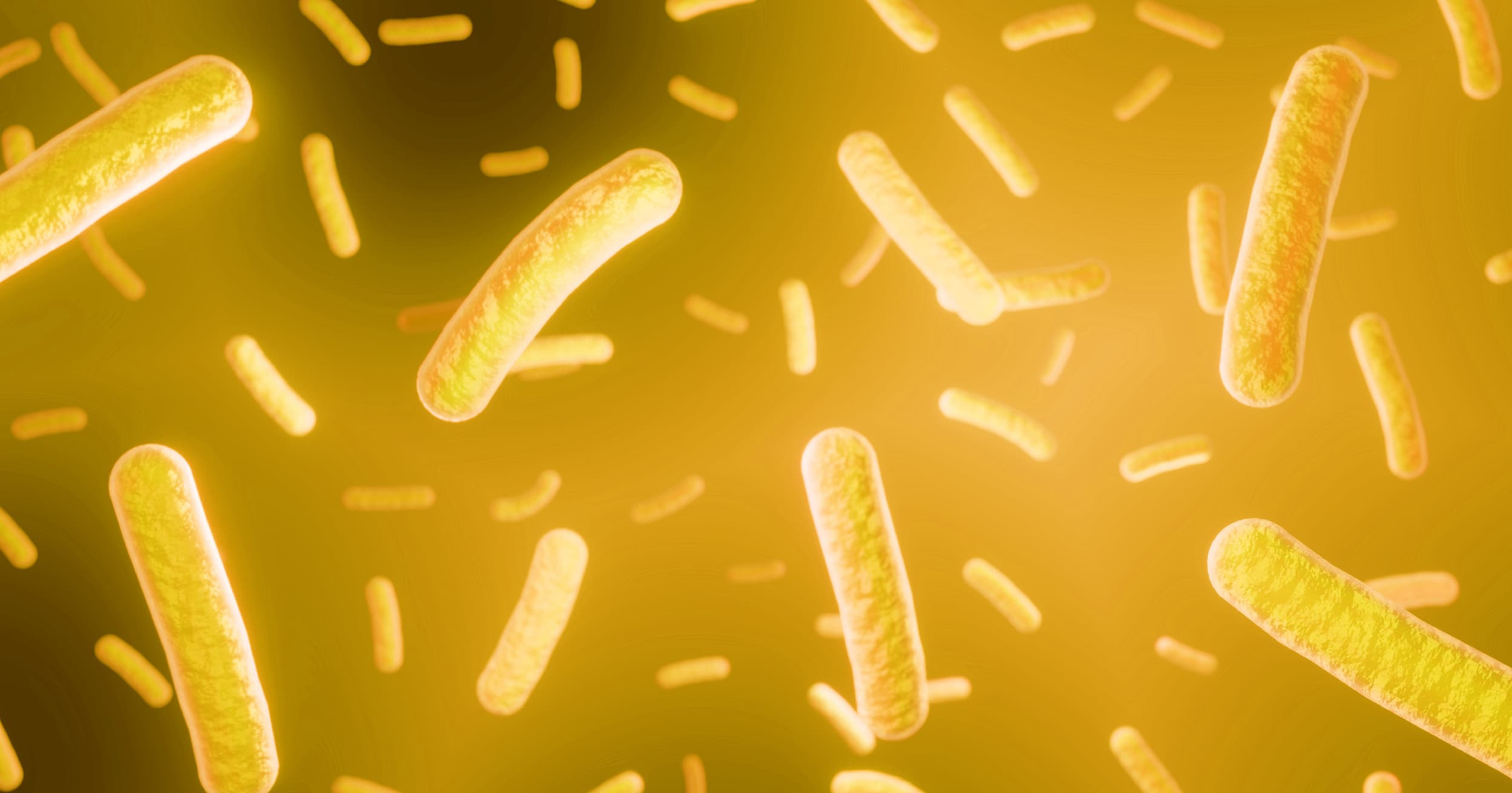 Lactobacillus bacteria floating on a black and yellow background.