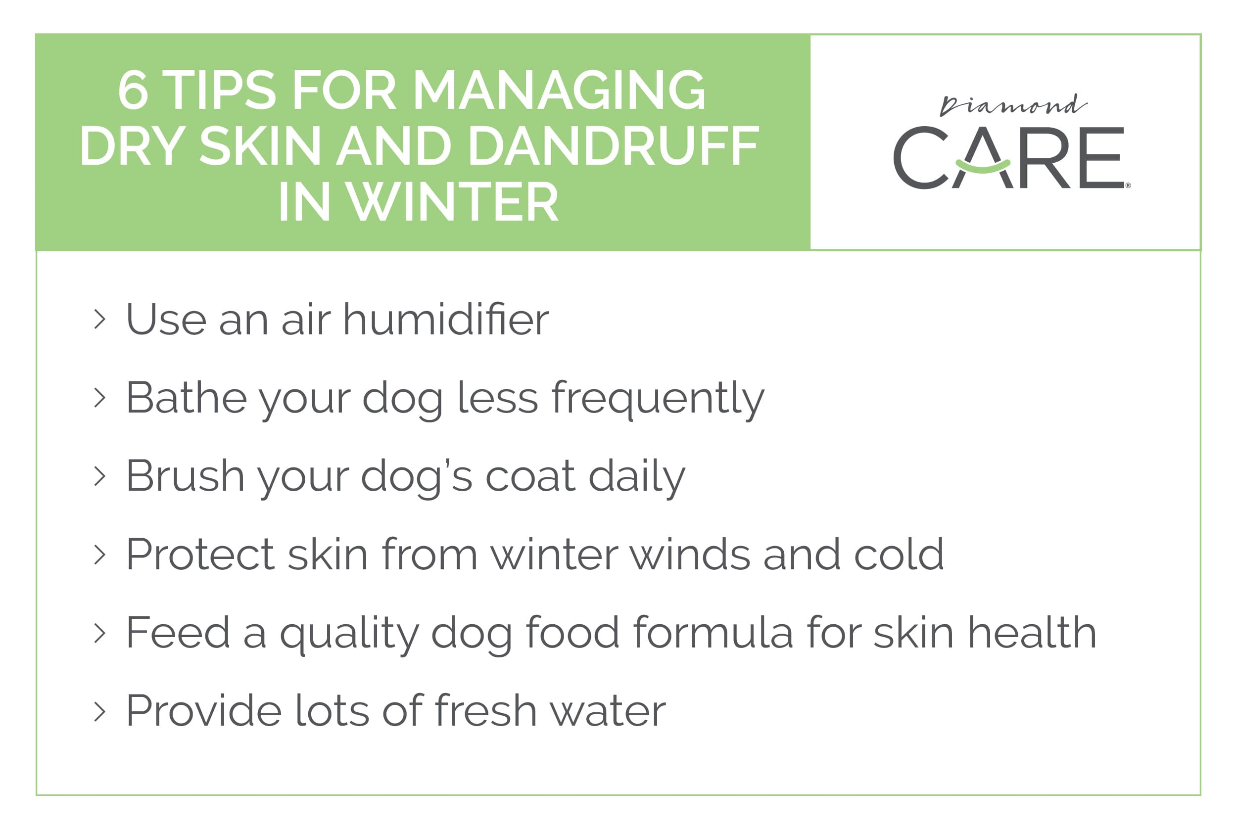 6 tips for managing dry skin and dandruff in winter. | Diamond Pet Foods