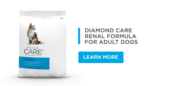 A bag of Diamond CARE Rx Renal Formula for Adult Dogs.