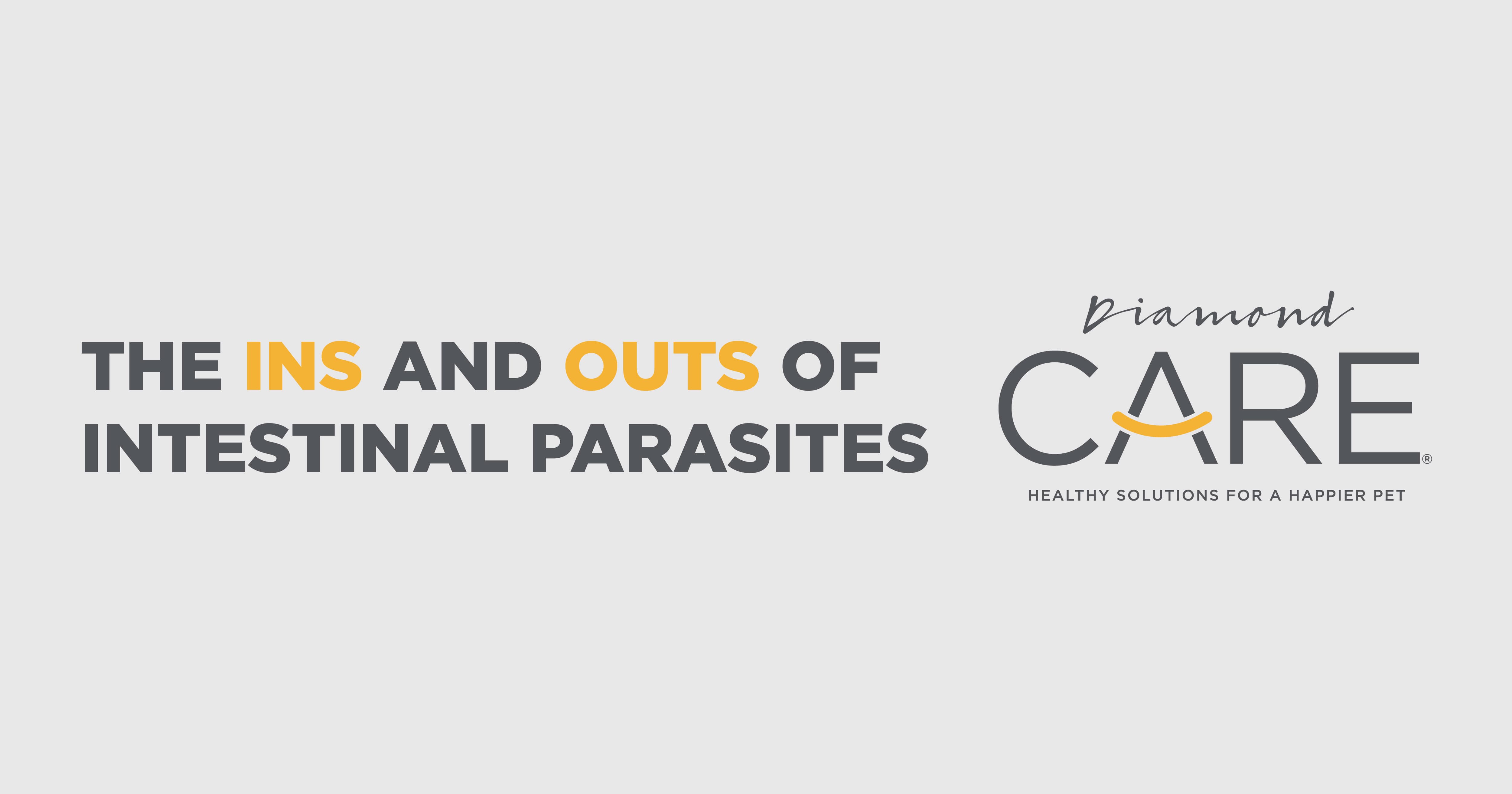 A header graphic that reads, 'The Ins and Outs of Intestinal Parasites.'
