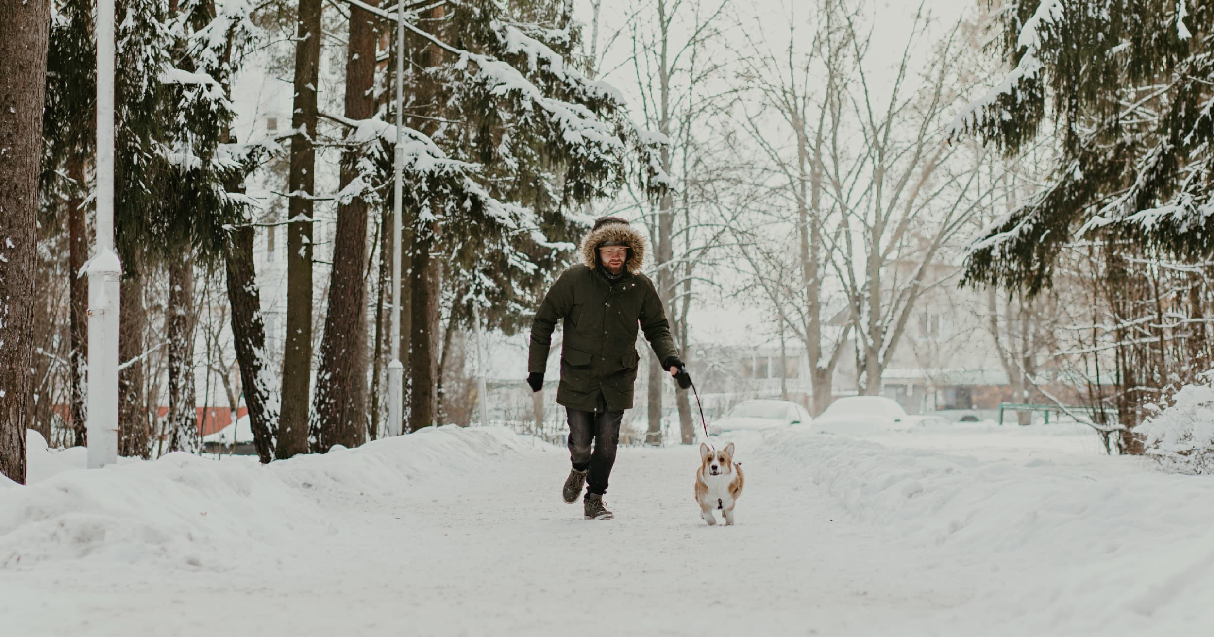 A man walking his dog through the snow in winter.