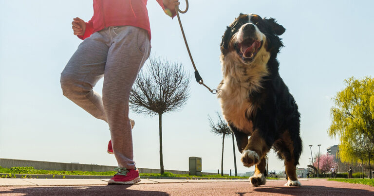 A jogger running through a park with their dog on a leash.