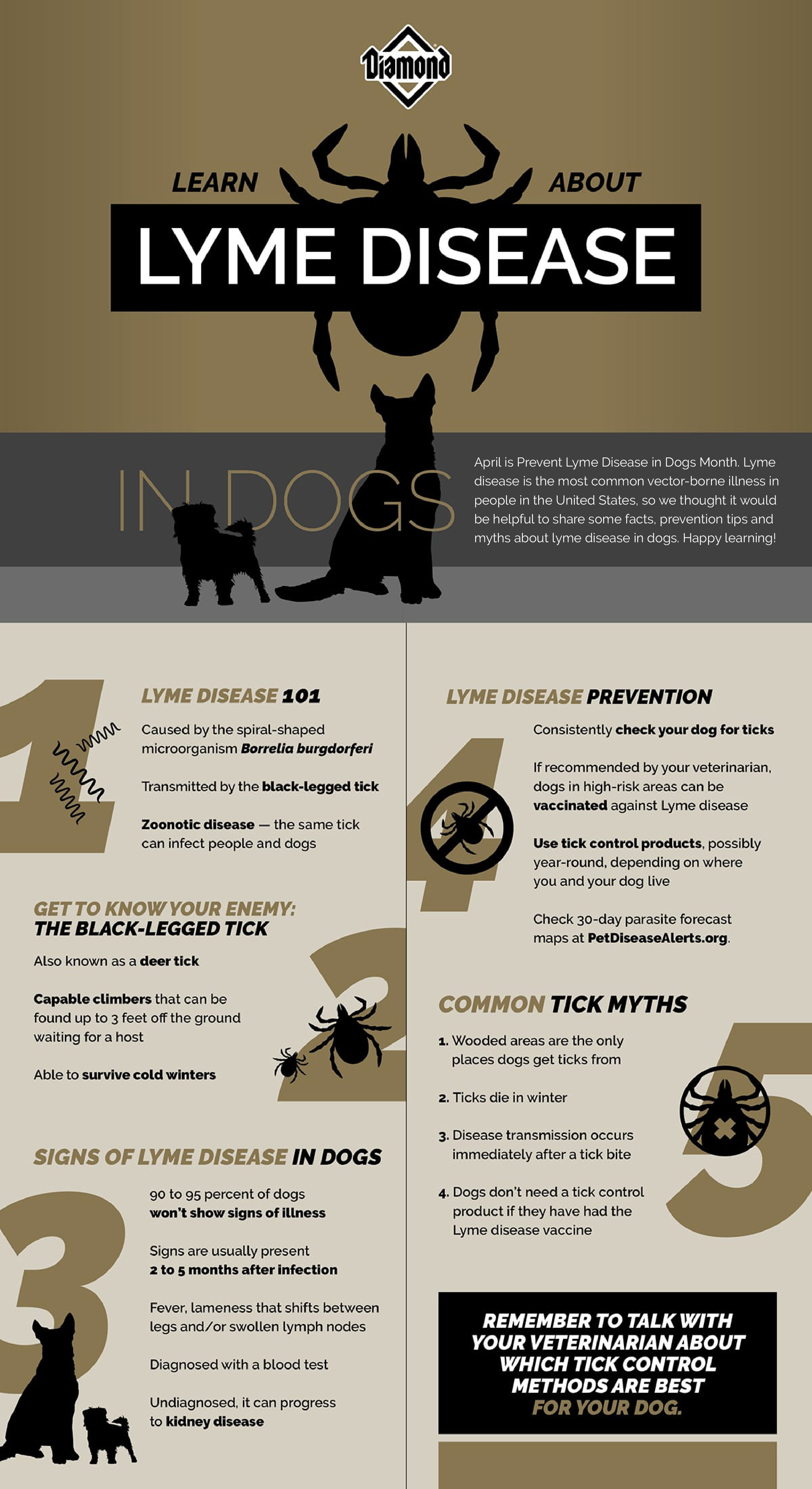 An interior graphic that details the signs of lyme disease in dogs, tips for prevention and a few common tick myths.