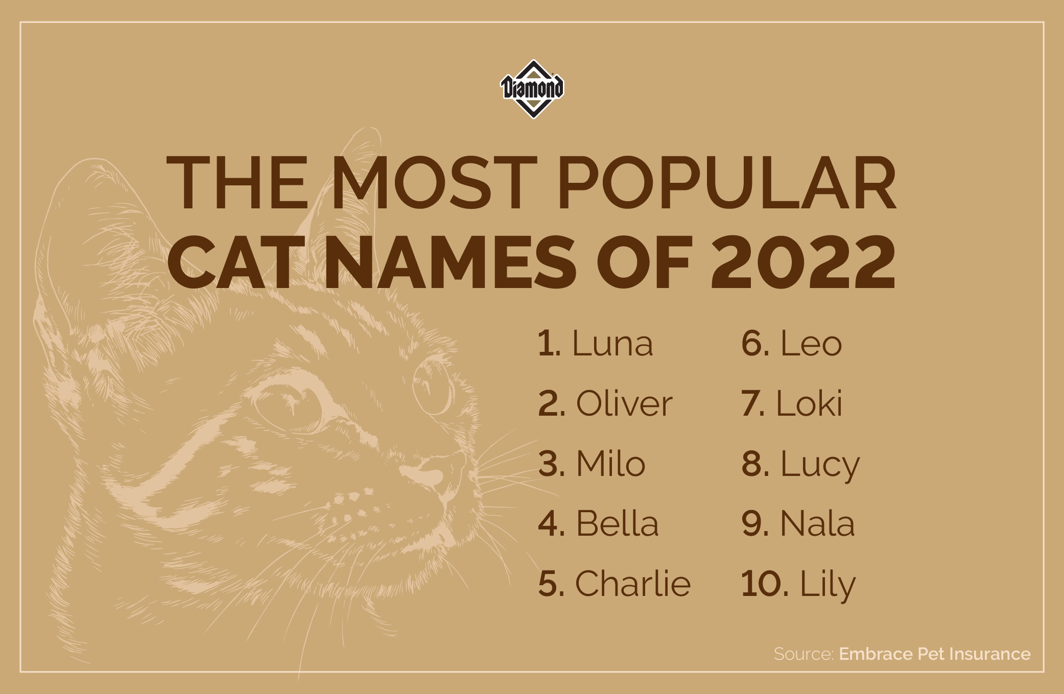 An interior image listing the top 10 most popular cat names of 2022 for male and female cats.