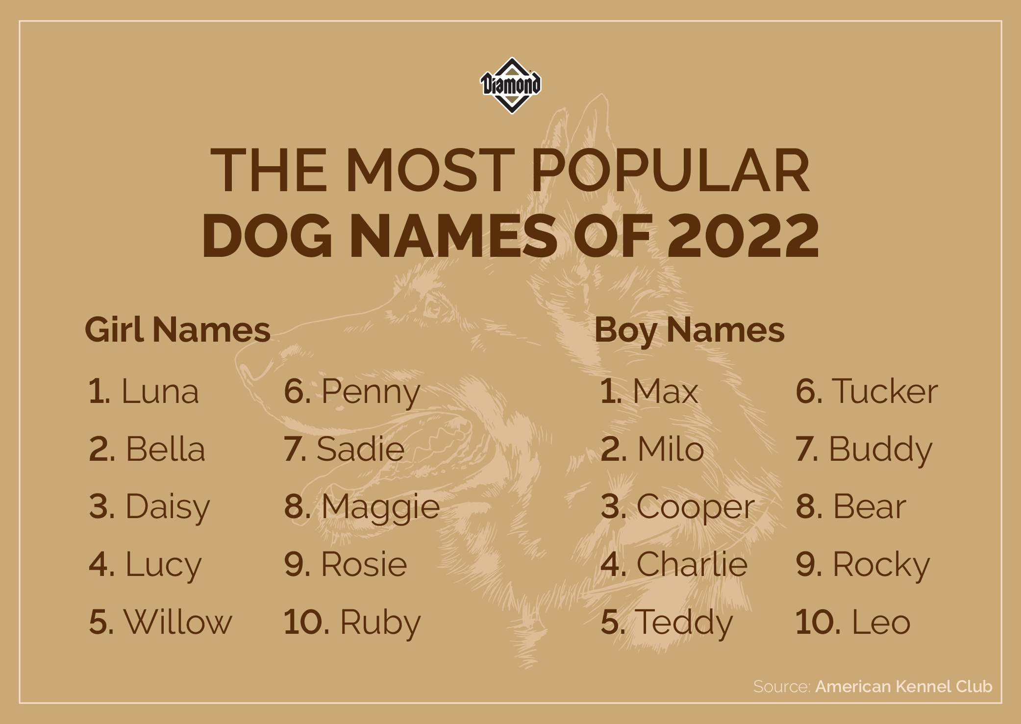 An interior image listing the top 10 most popular dog names of 2022 for male and female dogs.