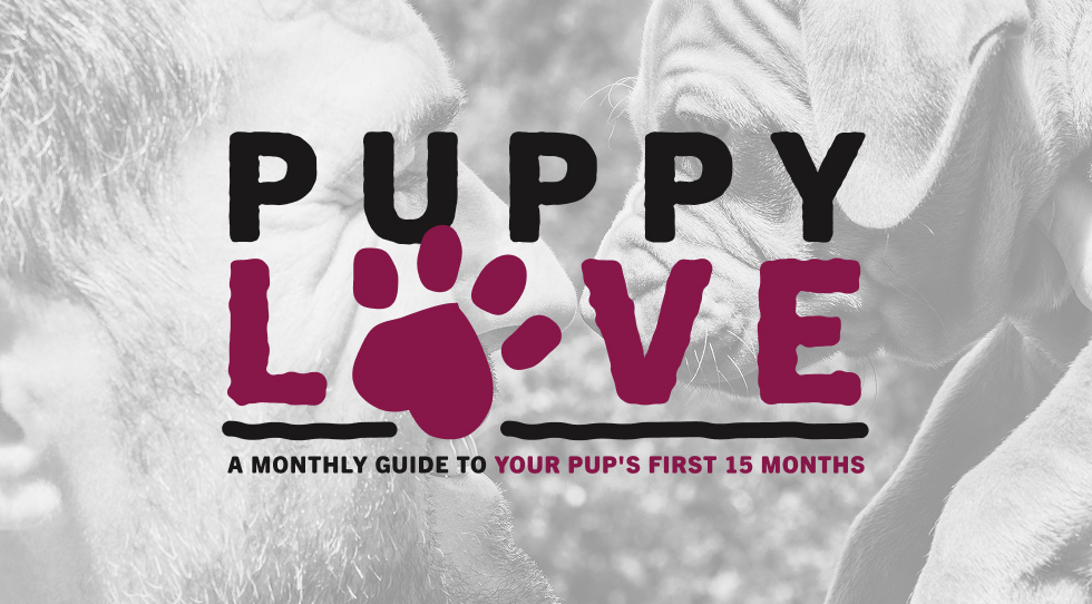 An image with a man nose-to-nose with a puppy with 'Puppy Love - A monthly guide to your pup's first 15 months'.