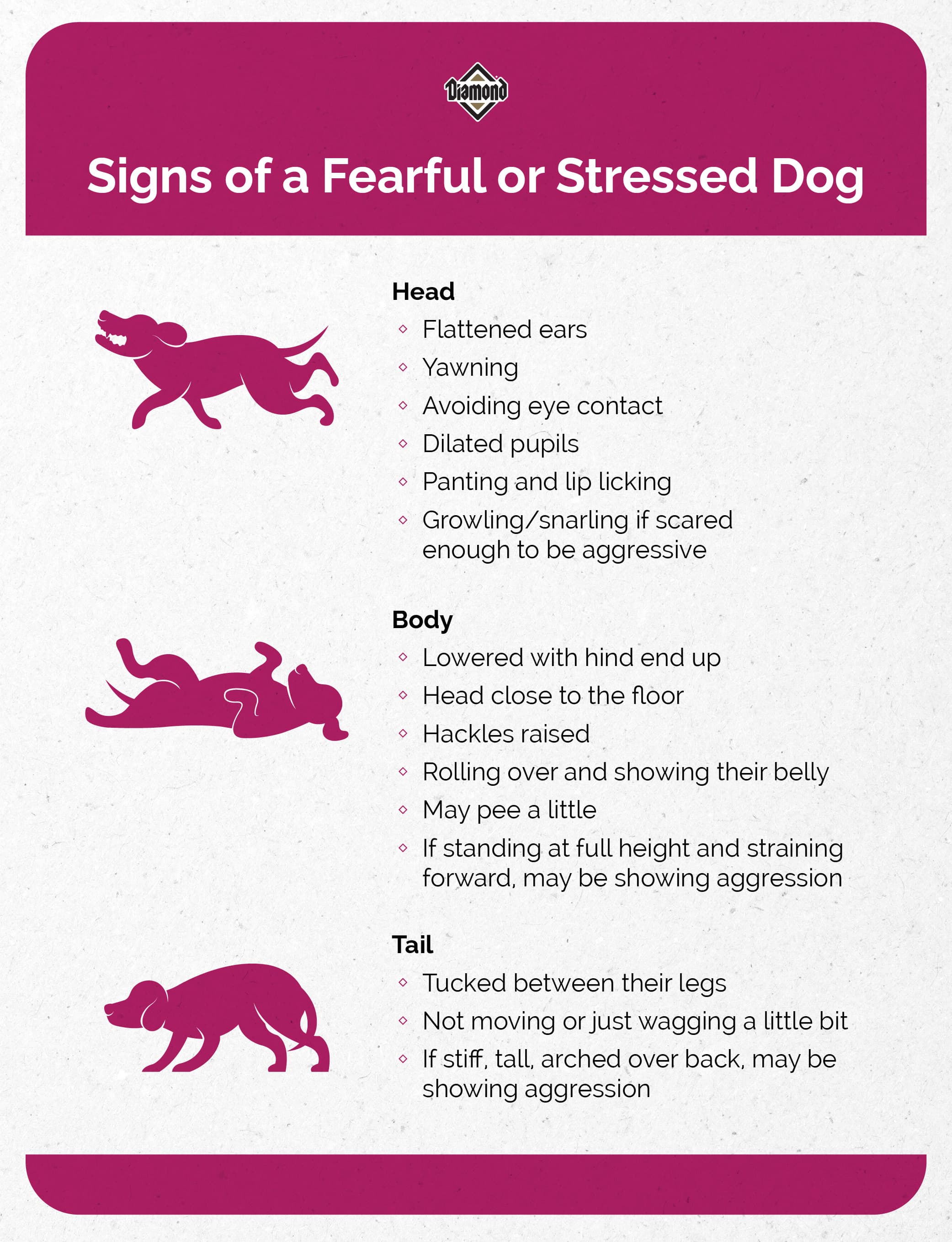 An interior graphic detailing the signs of a fearful or stressed dog.