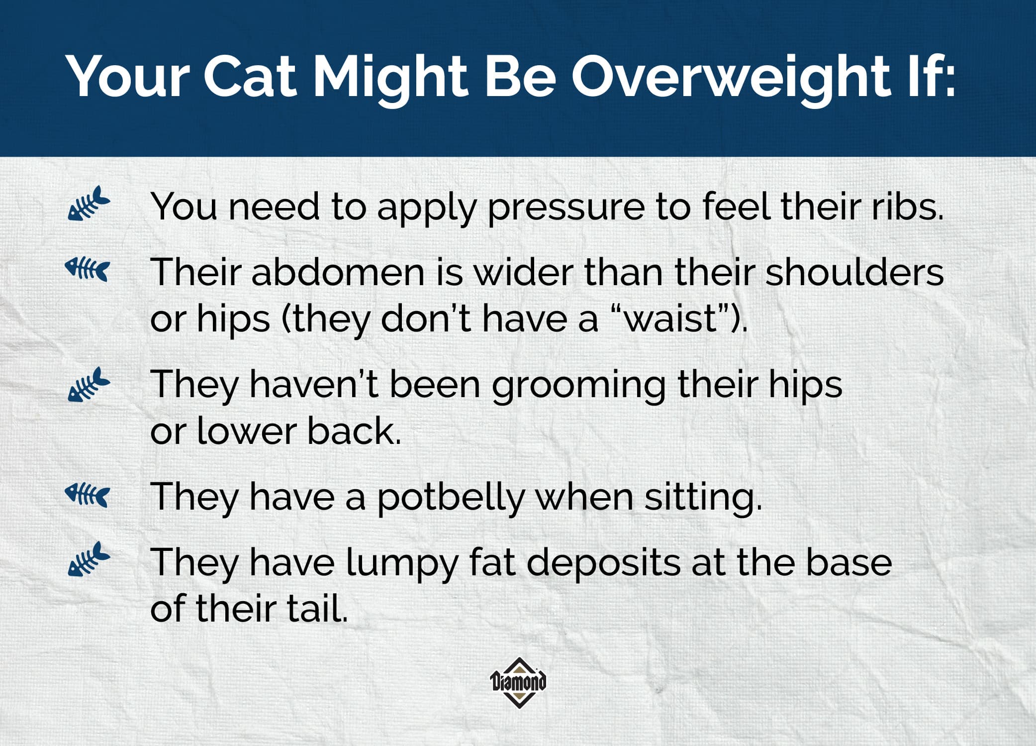 Interior graphic detailing the signs of what to look for when judging if your cat might be overweight.